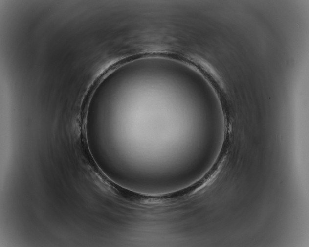 X0000088381212200705221046
