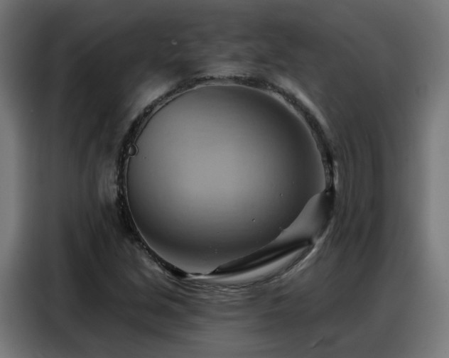 X0000088381213200705221046