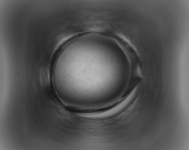 X0000088381214200705221046