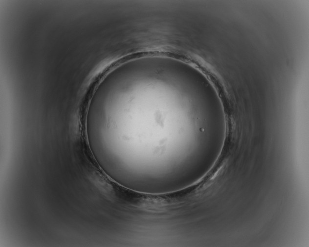 X0000088381215200705221047