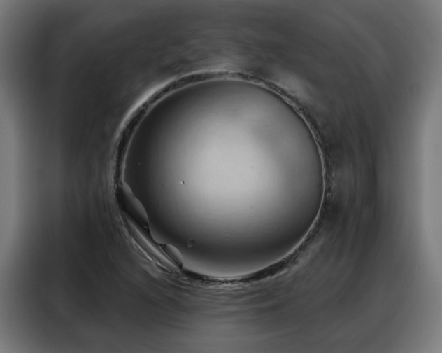 X0000088381216200705221047