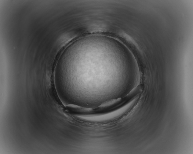 X0000088381217200705221047