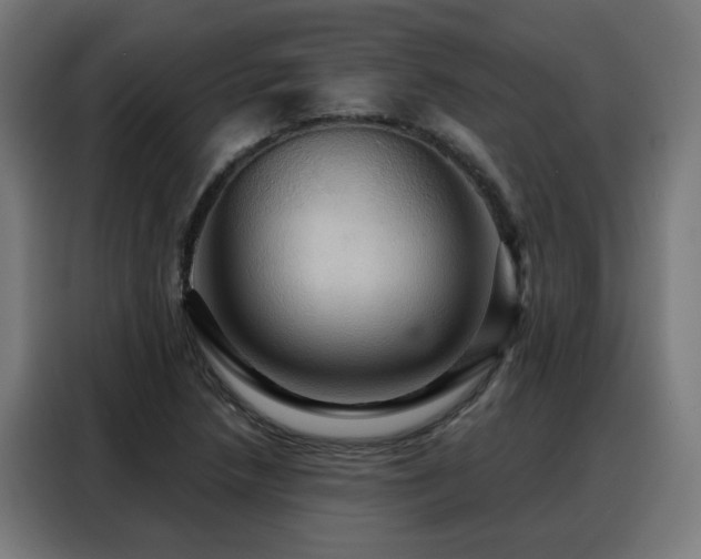 X0000088381218200705221047