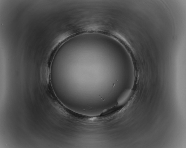 X0000088381219200705221047