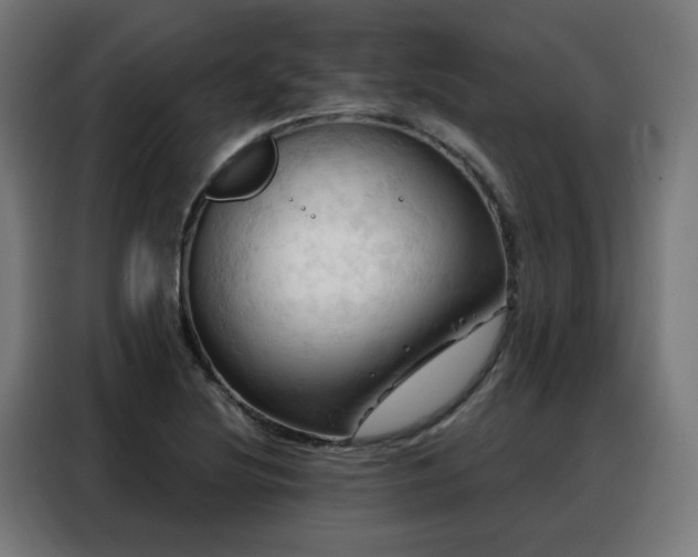 X0000088381220200705221047