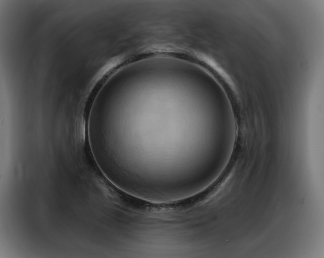 X0000088381221200705221047