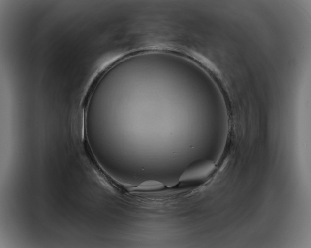 X0000088381223200705221047