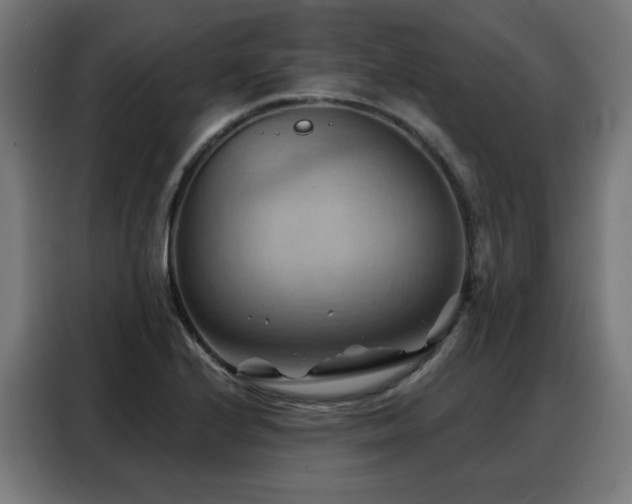 X0000088381224200705221047