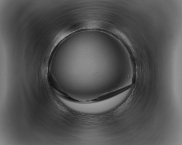 X0000088381226200705221047