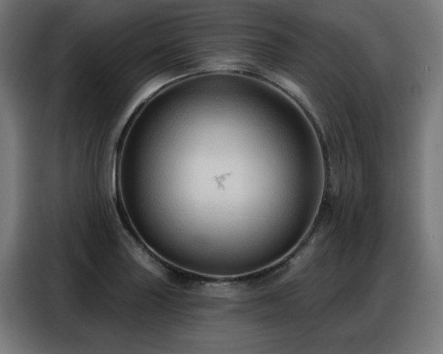 X0000088381227200705221047