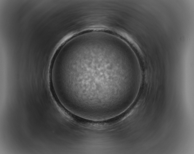 X0000088381229200705221047