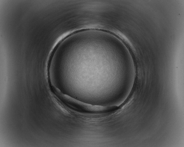 X0000088381230200705221047