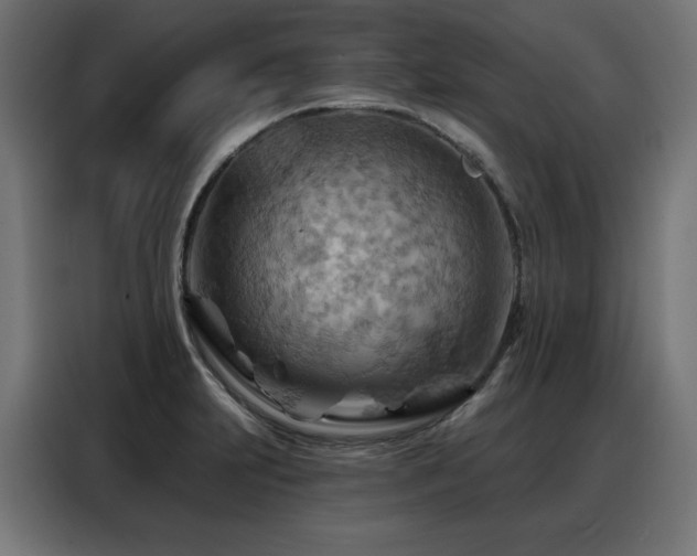 X0000088381231200705221047