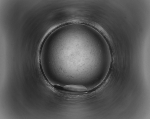 X0000088381232200705221047