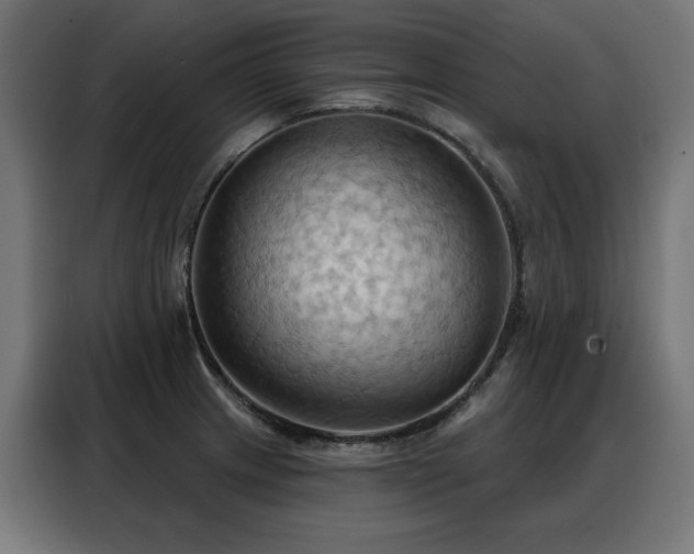 X0000088381233200705221047