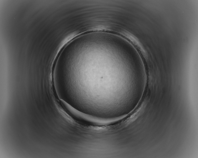 X0000088381234200705221047