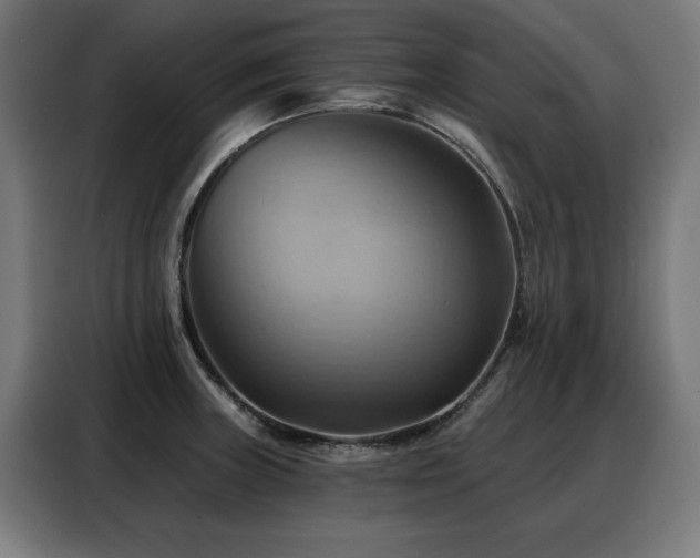X0000088381235200705221047