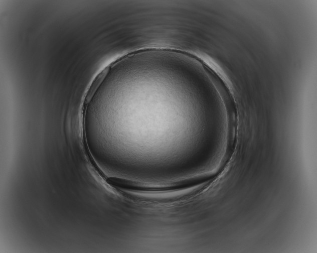 X0000088381238200705221047