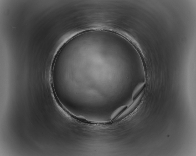 X0000088381239200705221047