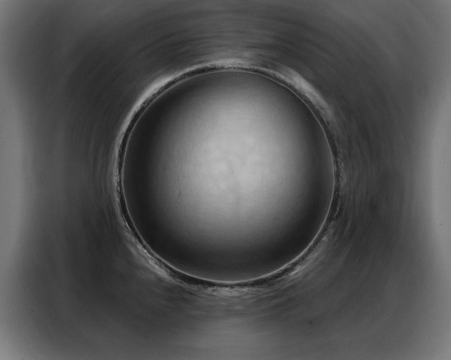 X0000088381240200705221047