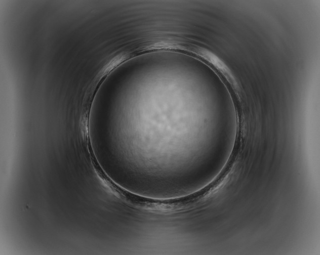 X0000088381241200705221047