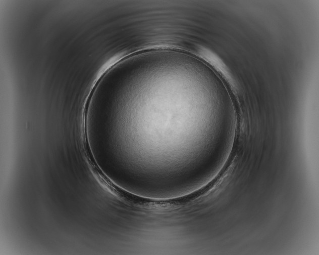 X0000088381242200705221047