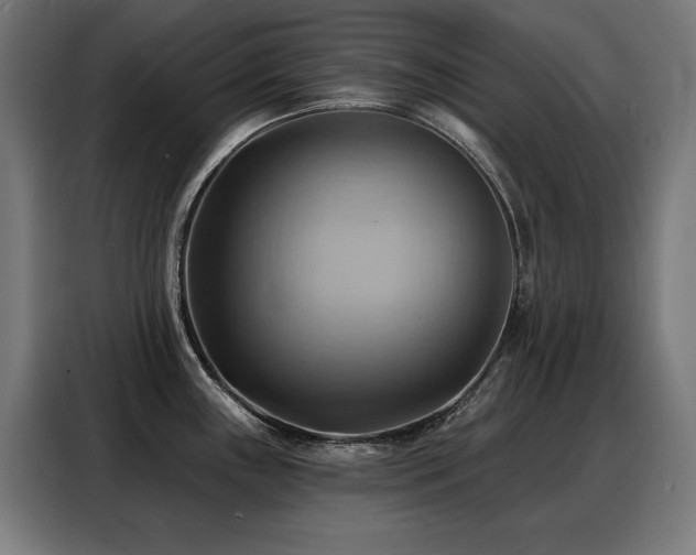 X0000088381243200705221047