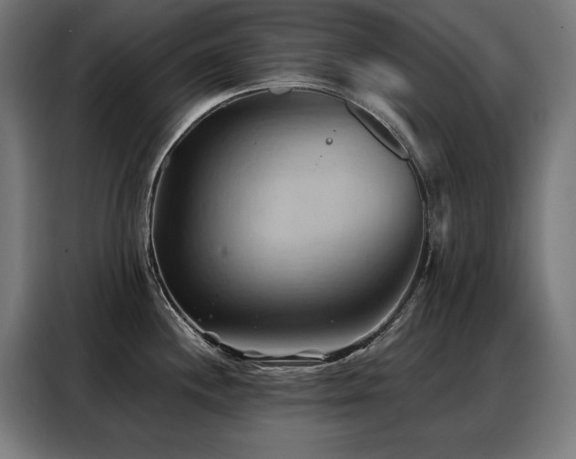 X0000088381244200705221047