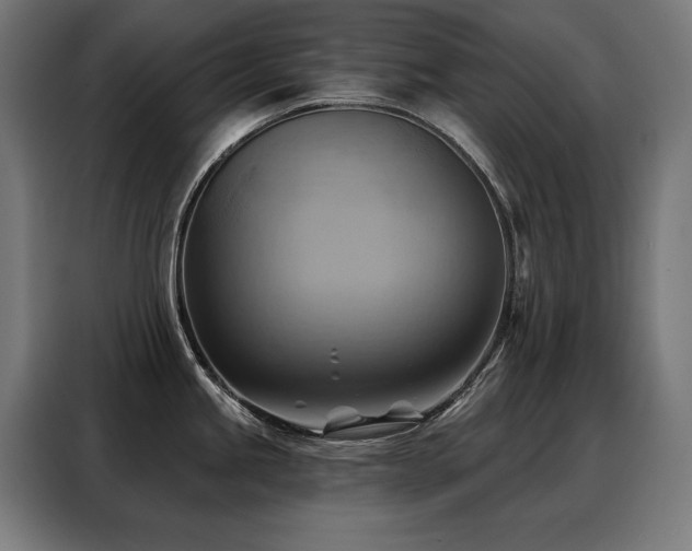 X0000088381245200705221047