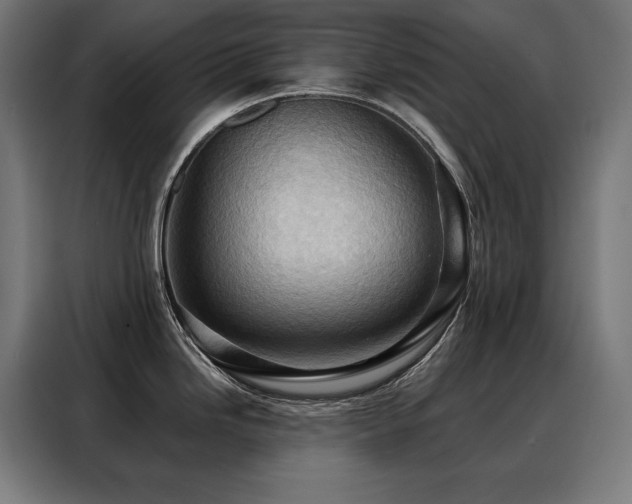 X0000088381246200705221047