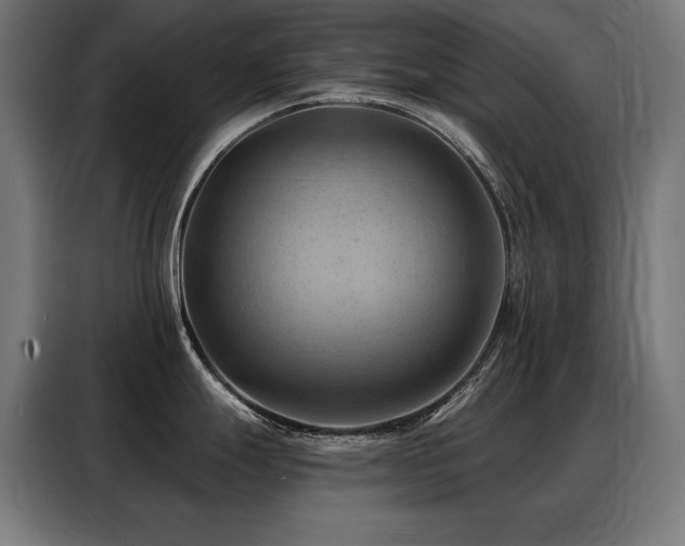 X0000088381247200705221047