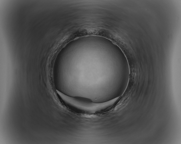 X0000088381249200705221046