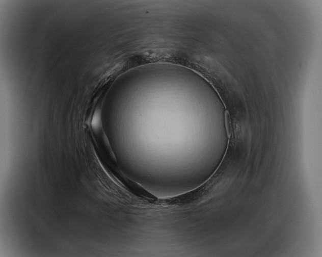 X0000088381250200705221046