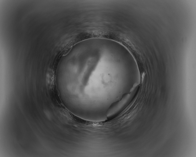 X0000088381251200705221046