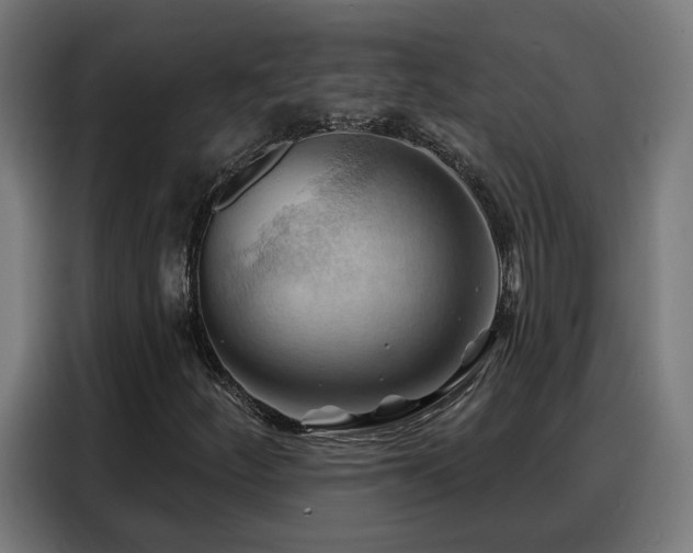 X0000088381252200705221046