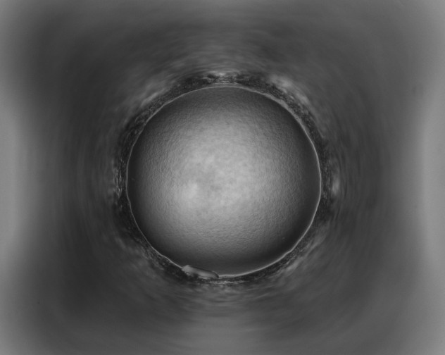 X0000088381253200705221046