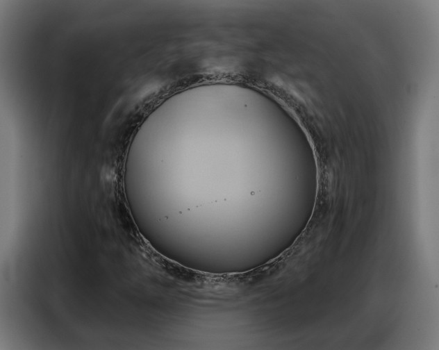 X0000088381254200705221046