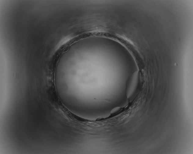 X0000088381255200705221046