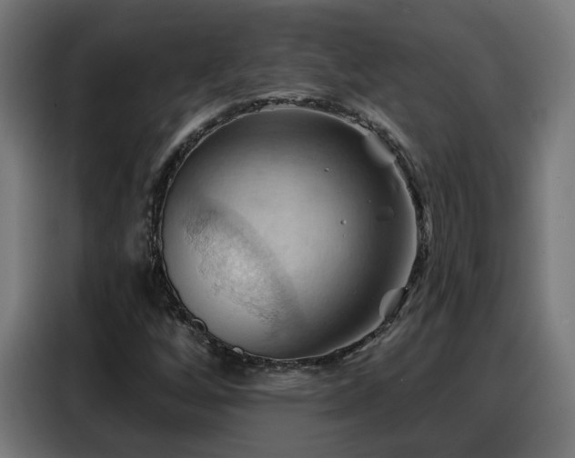 X0000088381256200705221046