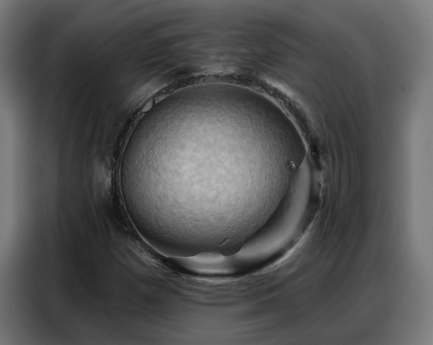 X0000088381257200705221046