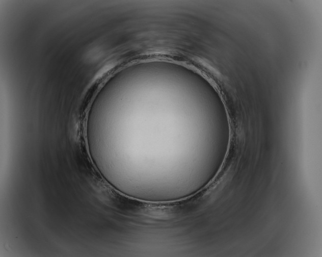 X0000088381258200705221046
