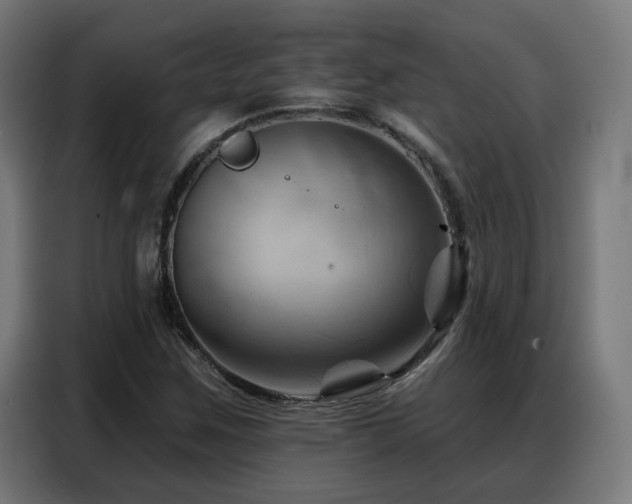 X0000088381259200705221046