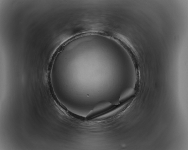 X0000088381260200705221046