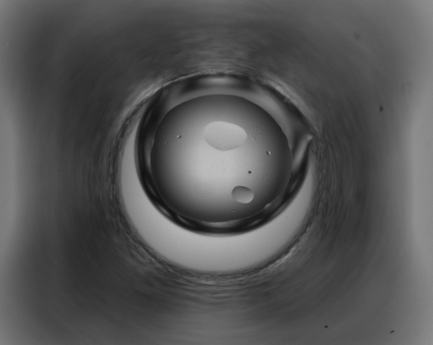 X0000088381261200705221046