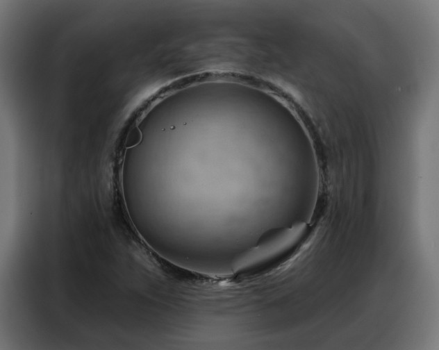 X0000088381263200705221046