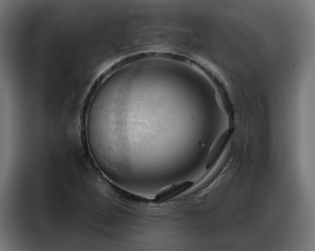 X0000088381264200705221046