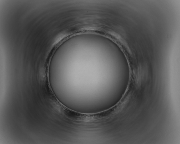 X0000088381266200705221046