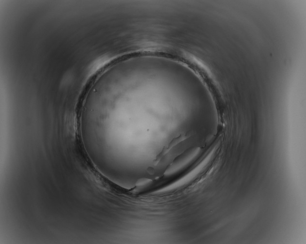 X0000088381267200705221046