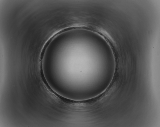 X0000088381268200705221046