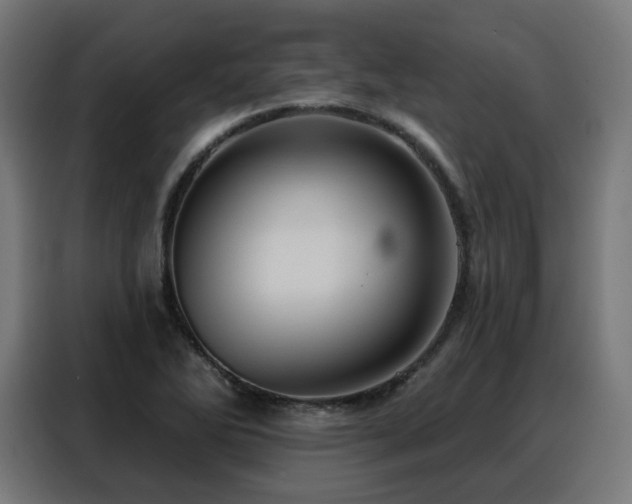 X0000088381270200705221046